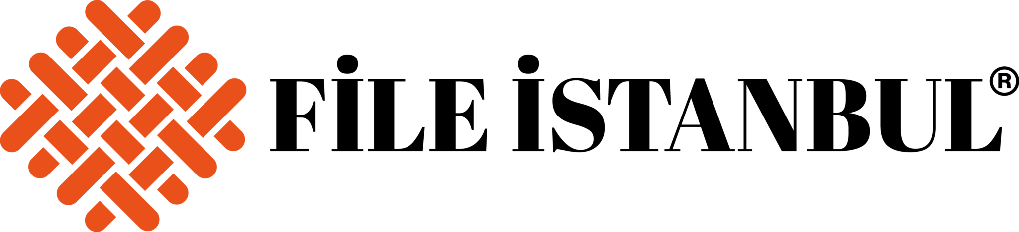 File İstanbul Logo