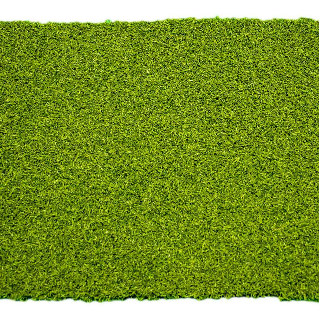 CnP_08072025_150534 Padeles Curly Suni Çim - Görsel 1